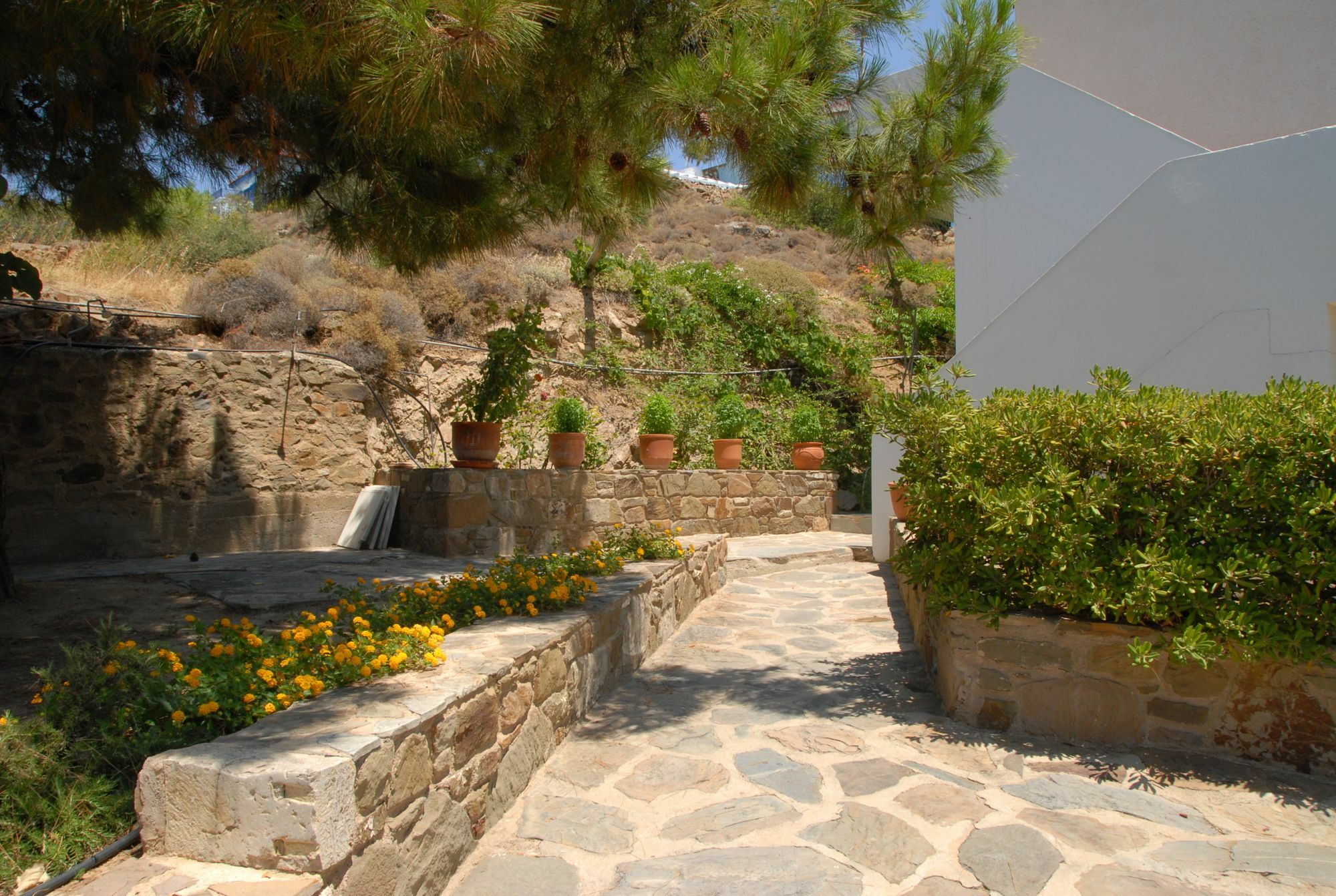 Zorbas Apartments Volissos Extérieur photo